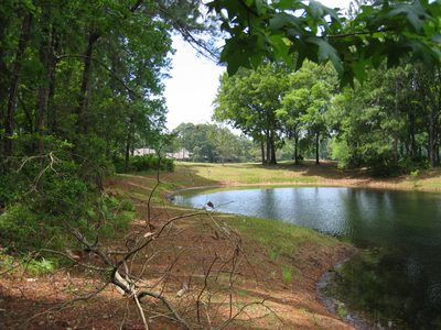More lagoon with a peak of the golf course to the far...